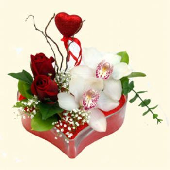  Gaziantep hediye sevgilime hediye iek  1 kandil orkide 5 adet kirmizi gl mika kalp