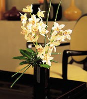  Gaziantep iekiler  cam yada mika vazo ierisinde dal orkide