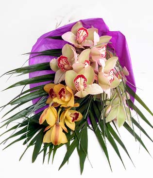  Gaziantep cicekciler , cicek siparisi  1 adet dal orkide buket halinde sunulmakta